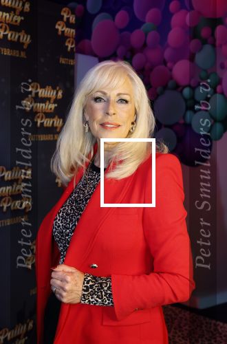 Amsterdam 6  januari 2025
Presentatie zangeressen die bij Patty Brard op gaan treden tijdens haar 70e verjaardag in het ziggo dome .Aanwezig in the all out oa Jetty Wheels Carolien de Windt Marga Bult Esther Oosterbeek  Rowan Moore Laura Vlasblom Anita Heilker .