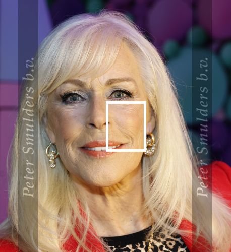 Amsterdam 6  januari 2025
Presentatie zangeressen die bij Patty Brard op gaan treden tijdens haar 70e verjaardag in het ziggo dome .Aanwezig in the all out oa Jetty Wheels Carolien de Windt Marga Bult Esther Oosterbeek  Rowan Moore Laura Vlasblom Anita Heilker .