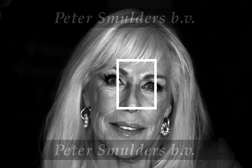 Amsterdam 6  januari 2025
Presentatie zangeressen die bij Patty Brard op gaan treden tijdens haar 70e verjaardag in het ziggo dome .Aanwezig in the all out oa Jetty Wheels Carolien de Windt Marga Bult Esther Oosterbeek  Rowan Moore Laura Vlasblom Anita Heilker .