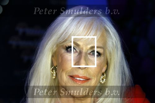 Amsterdam 6  januari 2025
Presentatie zangeressen die bij Patty Brard op gaan treden tijdens haar 70e verjaardag in het ziggo dome .Aanwezig in the all out oa Jetty Wheels Carolien de Windt Marga Bult Esther Oosterbeek  Rowan Moore Laura Vlasblom Anita Heilker .