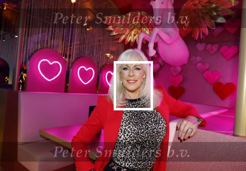 Amsterdam 6  januari 2025
Presentatie zangeressen die bij Patty Brard op gaan treden tijdens haar 70e verjaardag in het ziggo dome .Aanwezig in the all out oa Jetty Wheels Carolien de Windt Marga Bult Esther Oosterbeek  Rowan Moore Laura Vlasblom Anita Heilker .