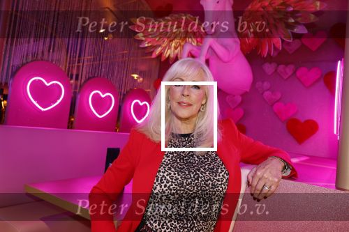 Amsterdam 6  januari 2025
Presentatie zangeressen die bij Patty Brard op gaan treden tijdens haar 70e verjaardag in het ziggo dome .Aanwezig in the all out oa Jetty Wheels Carolien de Windt Marga Bult Esther Oosterbeek  Rowan Moore Laura Vlasblom Anita Heilker .