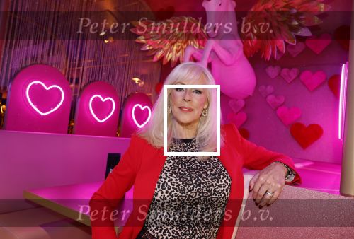 Amsterdam 6  januari 2025
Presentatie zangeressen die bij Patty Brard op gaan treden tijdens haar 70e verjaardag in het ziggo dome .Aanwezig in the all out oa Jetty Wheels Carolien de Windt Marga Bult Esther Oosterbeek  Rowan Moore Laura Vlasblom Anita Heilker .