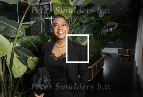 Amsterdam 8 januari 2025
Boekpresentatie Dyantha Brooks in het College Hotel . Natacha Harlequin