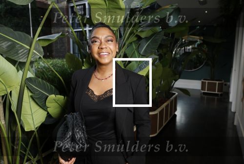 Amsterdam 8 januari 2025
Boekpresentatie Dyantha Brooks in het College Hotel . Natacha Harlequin