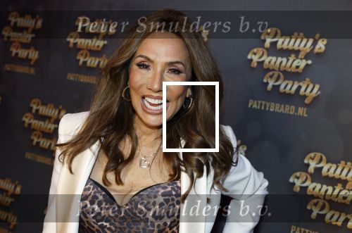 Amsterdam 6  januari 2025
Presentatie zangeressen die bij Patty Brard op gaan treden tijdens haar 70e verjaardag in het ziggo dome .Aanwezig in the all out oa Jetty Wheels Carolien de Windt Marga Bult Esther Oosterbeek  Rowan Moore Laura Vlasblom Anita Heilker .