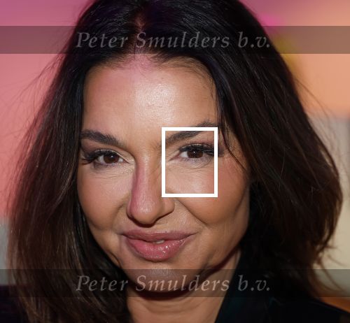 Amsterdam 6  januari 2025
Presentatie zangeressen die bij Patty Brard op gaan treden tijdens haar 70e verjaardag in het ziggo dome .Aanwezig in the all out oa Jetty Wheels Carolien de Windt Marga Bult Esther Oosterbeek  Rowan Moore Laura Vlasblom Anita Heilker .