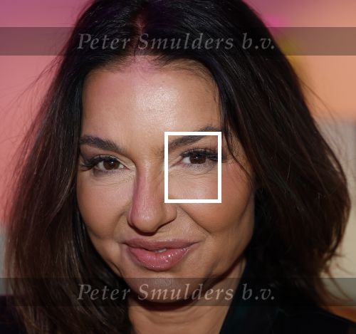 Amsterdam 6  januari 2025
Presentatie zangeressen die bij Patty Brard op gaan treden tijdens haar 70e verjaardag in het ziggo dome .Aanwezig in the all out oa Jetty Wheels Carolien de Windt Marga Bult Esther Oosterbeek  Rowan Moore Laura Vlasblom Anita Heilker .