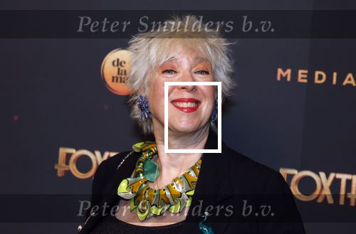 Amsterdam 18 januari 2025
Premiere Foxtrot in het deLaMar theater . Anne Rose Bantziger