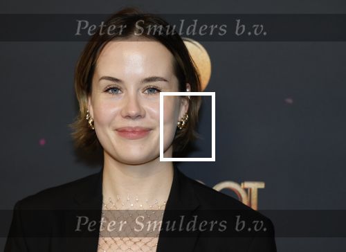 Amsterdam 18 januari 2025
Premiere Foxtrot in het deLaMar theater . Anne de Blok