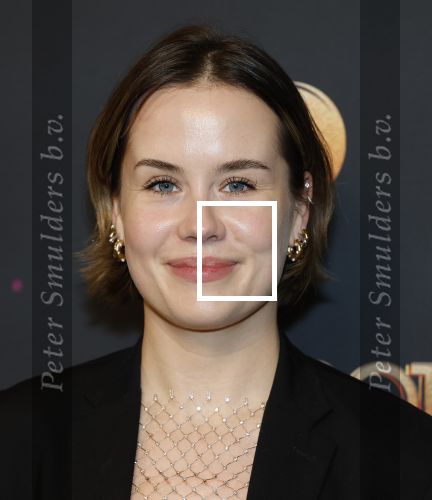 Amsterdam 18 januari 2025
Premiere Foxtrot in het deLaMar theater . Anne de Blok