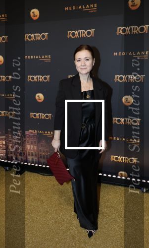 Amsterdam 18 januari 2025
Premiere Foxtrot in het deLaMar theater . Oren Schrijver en zijn vrouw Celine Purcell