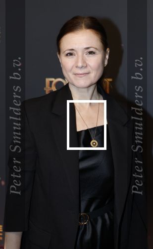 Amsterdam 18 januari 2025
Premiere Foxtrot in het deLaMar theater . Oren Schrijver en zijn vrouw Celine Purcell