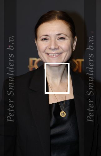 Amsterdam 18 januari 2025
Premiere Foxtrot in het deLaMar theater . Oren Schrijver en zijn vrouw Celine Purcell