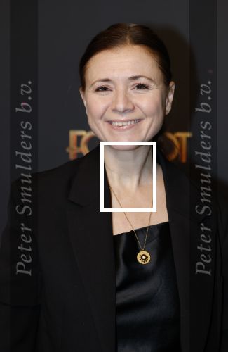 Amsterdam 18 januari 2025
Premiere Foxtrot in het deLaMar theater . Oren Schrijver en zijn vrouw Celine Purcell