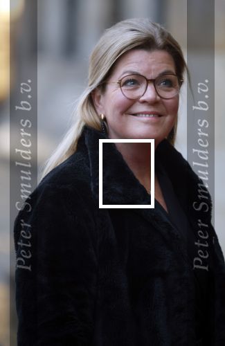Amsterdam 12 januari 2026
Nieuwjaarsreceptie Koning Willem Alexander en Koningin Maxima bij het paleis op de dam . Vandaag komen er vooral mensen uit de politiek. 
Christianne v d Wal