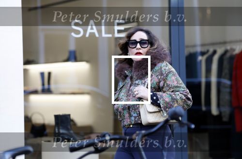 Amsterdam 17 januari 2016
Advocaat Conchita v Rooij op de pc hooftstraat