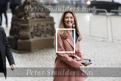 Amsterdam 12 januari 2026
Nieuwjaarsreceptie Koning Willem Alexander en Koningin Maxima bij het paleis op de dam . Vandaag komen er vooral mensen uit de politiek. Dilan Yesilgoz
