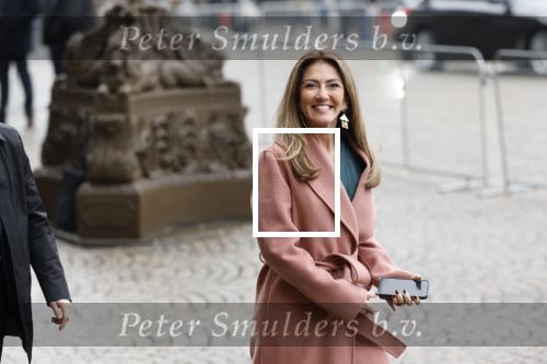 Amsterdam 12 januari 2026
Nieuwjaarsreceptie Koning Willem Alexander en Koningin Maxima bij het paleis op de dam . Vandaag komen er vooral mensen uit de politiek. Dilan Yesilgoz