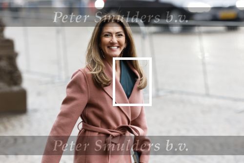 Amsterdam 12 januari 2026
Nieuwjaarsreceptie Koning Willem Alexander en Koningin Maxima bij het paleis op de dam . Vandaag komen er vooral mensen uit de politiek. Dilan Yesilgoz