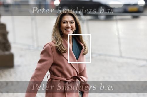 Amsterdam 12 januari 2026
Nieuwjaarsreceptie Koning Willem Alexander en Koningin Maxima bij het paleis op de dam . Vandaag komen er vooral mensen uit de politiek. Dilan Yesilgoz