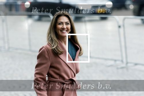 Amsterdam 12 januari 2026
Nieuwjaarsreceptie Koning Willem Alexander en Koningin Maxima bij het paleis op de dam . Vandaag komen er vooral mensen uit de politiek. Dilan Yesilgoz