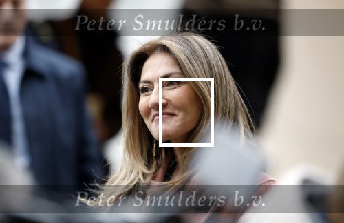 Amsterdam 12 januari 2026
Nieuwjaarsreceptie Koning Willem Alexander en Koningin Maxima bij het paleis op de dam . Vandaag komen er vooral mensen uit de politiek. Dilan Yesilgoz