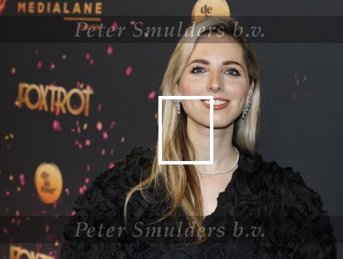 Amsterdam 18 januari 2025
Premiere Foxtrot in het deLaMar theater . Eline de Ruig kwam met haar vriend