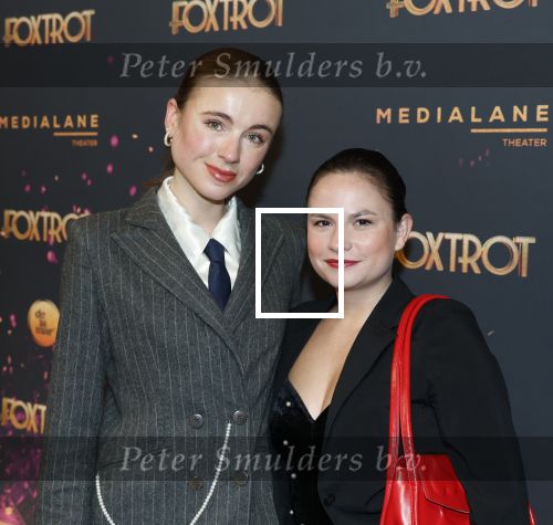 Amsterdam 18 januari 2025
Premiere Foxtrot in het deLaMar theater . Emilie Pos