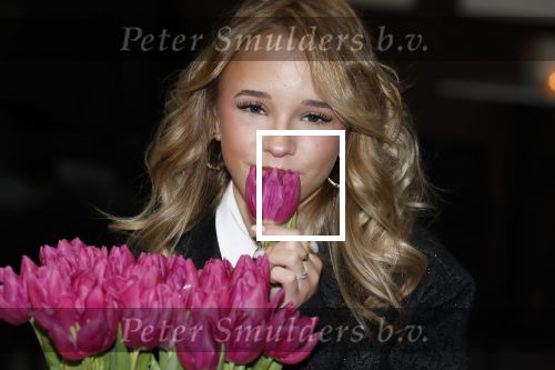 Maastricht 14 januari 2026
Doop tulipa Emma Kok bij het vrijthof in Maastricht  haar ouders en opa en oma\'s waren erbij aanwezig
