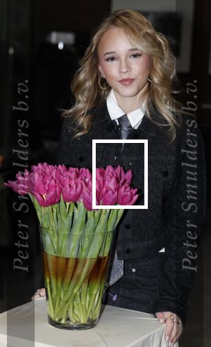 Maastricht 14 januari 2026
Doop tulipa Emma Kok bij het vrijthof in Maastricht  haar ouders en opa en oma\'s waren erbij aanwezig