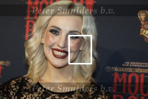 Utrecht 14 januari 2026
Premiere April Darby bij moulin Rouge in Beatrixtheater . Emmaly Brown