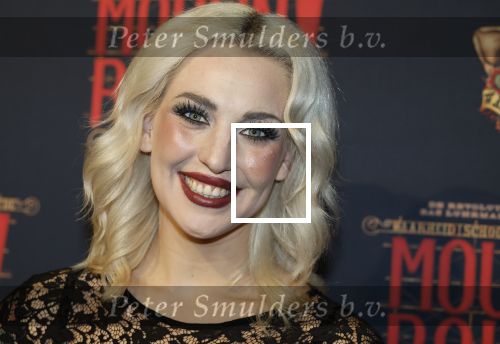 Utrecht 14 januari 2026
Premiere April Darby bij moulin Rouge in Beatrixtheater . Emmaly Brown