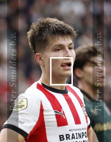 Eindhoven, 1 Februari 2026
Kompetitiewedstrijd PSV-Feyenoord, eindstand 3-0
Esmir Bajraktarevic