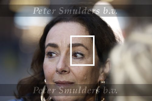 Amsterdam 12 januari 2026
Nieuwjaarsreceptie Koning Willem Alexander en Koningin Maxima bij het paleis op de dam . Vandaag komen er vooral mensen uit de politiek. Femke Halsema
