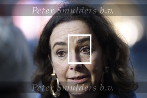 Amsterdam 12 januari 2026
Nieuwjaarsreceptie Koning Willem Alexander en Koningin Maxima bij het paleis op de dam . Vandaag komen er vooral mensen uit de politiek. Femke Halsema