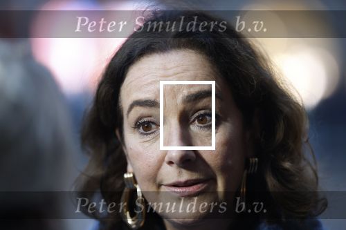 Amsterdam 12 januari 2026
Nieuwjaarsreceptie Koning Willem Alexander en Koningin Maxima bij het paleis op de dam . Vandaag komen er vooral mensen uit de politiek. Femke Halsema