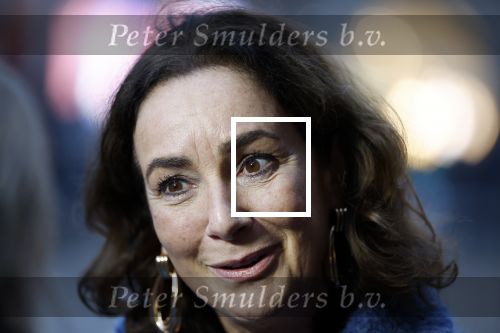 Amsterdam 12 januari 2026
Nieuwjaarsreceptie Koning Willem Alexander en Koningin Maxima bij het paleis op de dam . Vandaag komen er vooral mensen uit de politiek. Femke Halsema