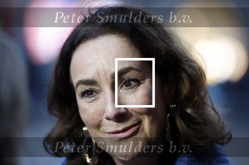 Amsterdam 12 januari 2026
Nieuwjaarsreceptie Koning Willem Alexander en Koningin Maxima bij het paleis op de dam . Vandaag komen er vooral mensen uit de politiek. Femke Halsema