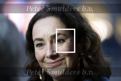 Amsterdam 12 januari 2026
Nieuwjaarsreceptie Koning Willem Alexander en Koningin Maxima bij het paleis op de dam . Vandaag komen er vooral mensen uit de politiek. Femke Halsema