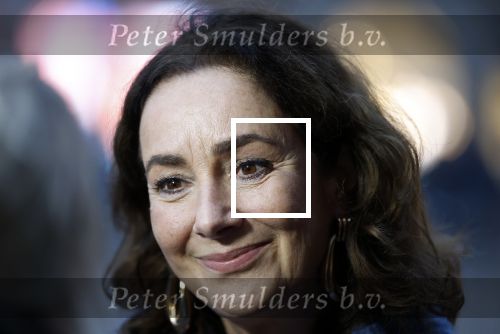 Amsterdam 12 januari 2026
Nieuwjaarsreceptie Koning Willem Alexander en Koningin Maxima bij het paleis op de dam . Vandaag komen er vooral mensen uit de politiek. Femke Halsema