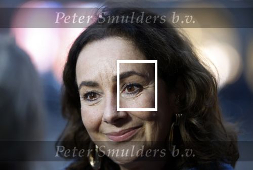 Amsterdam 12 januari 2026
Nieuwjaarsreceptie Koning Willem Alexander en Koningin Maxima bij het paleis op de dam . Vandaag komen er vooral mensen uit de politiek. Femke Halsema