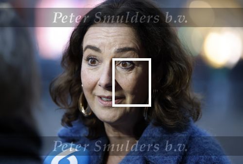 Amsterdam 12 januari 2026
Nieuwjaarsreceptie Koning Willem Alexander en Koningin Maxima bij het paleis op de dam . Vandaag komen er vooral mensen uit de politiek. Femke Halsema