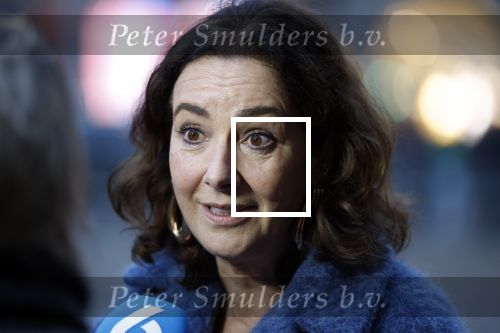 Amsterdam 12 januari 2026
Nieuwjaarsreceptie Koning Willem Alexander en Koningin Maxima bij het paleis op de dam . Vandaag komen er vooral mensen uit de politiek. Femke Halsema