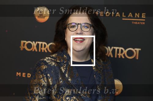 Amsterdam 18 januari 2025
Premiere Foxtrot in het deLaMar theater . Francis v Broekhuizen kwam met haar partner