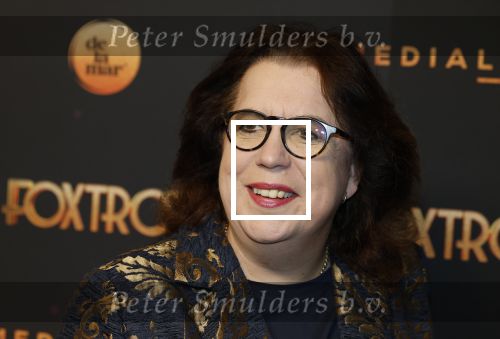Amsterdam 18 januari 2025
Premiere Foxtrot in het deLaMar theater . Francis v Broekhuizen kwam met haar partner