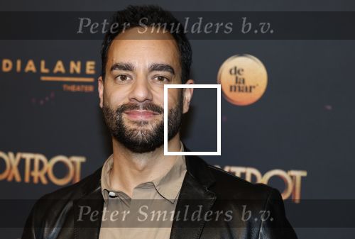 Amsterdam 18 januari 2025
Premiere Foxtrot in het deLaMar theater . Freek Bartels