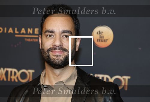Amsterdam 18 januari 2025
Premiere Foxtrot in het deLaMar theater . Freek Bartels