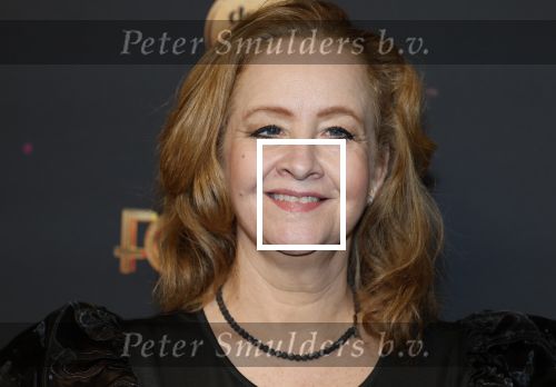 Amsterdam 18 januari 2025
Premiere Foxtrot in het deLaMar theater . Hilke Bierman