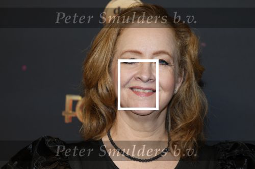 Amsterdam 18 januari 2025
Premiere Foxtrot in het deLaMar theater . Hilke Bierman